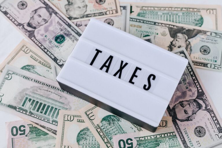 Understanding the Basics: What Are Taxes and Why Do We Pay Them